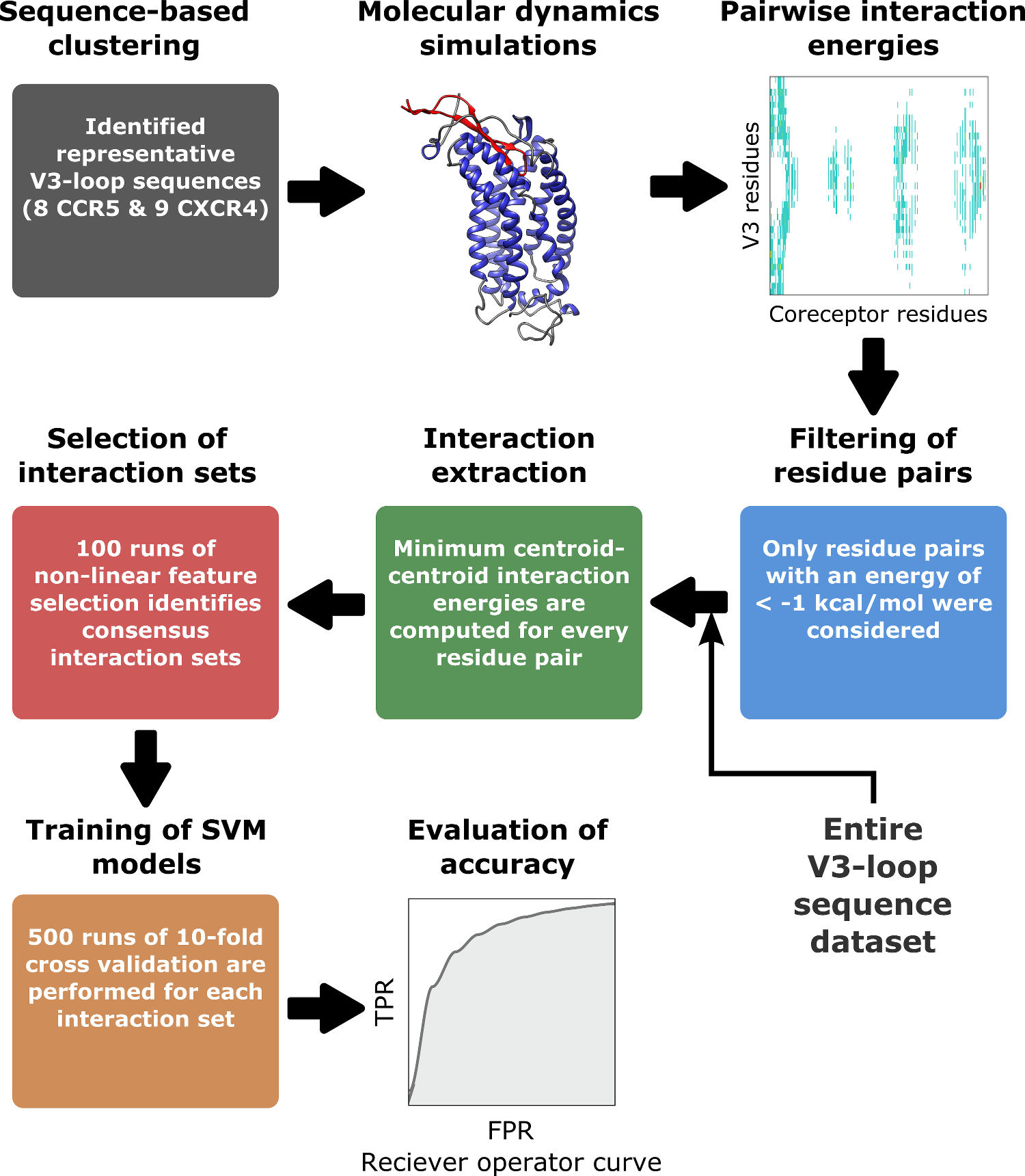 Highly Accurate Structure-Based Prediction of HIV-1 Coreceptor Usage Suggests Intermolecular Interactions Driving Tropism