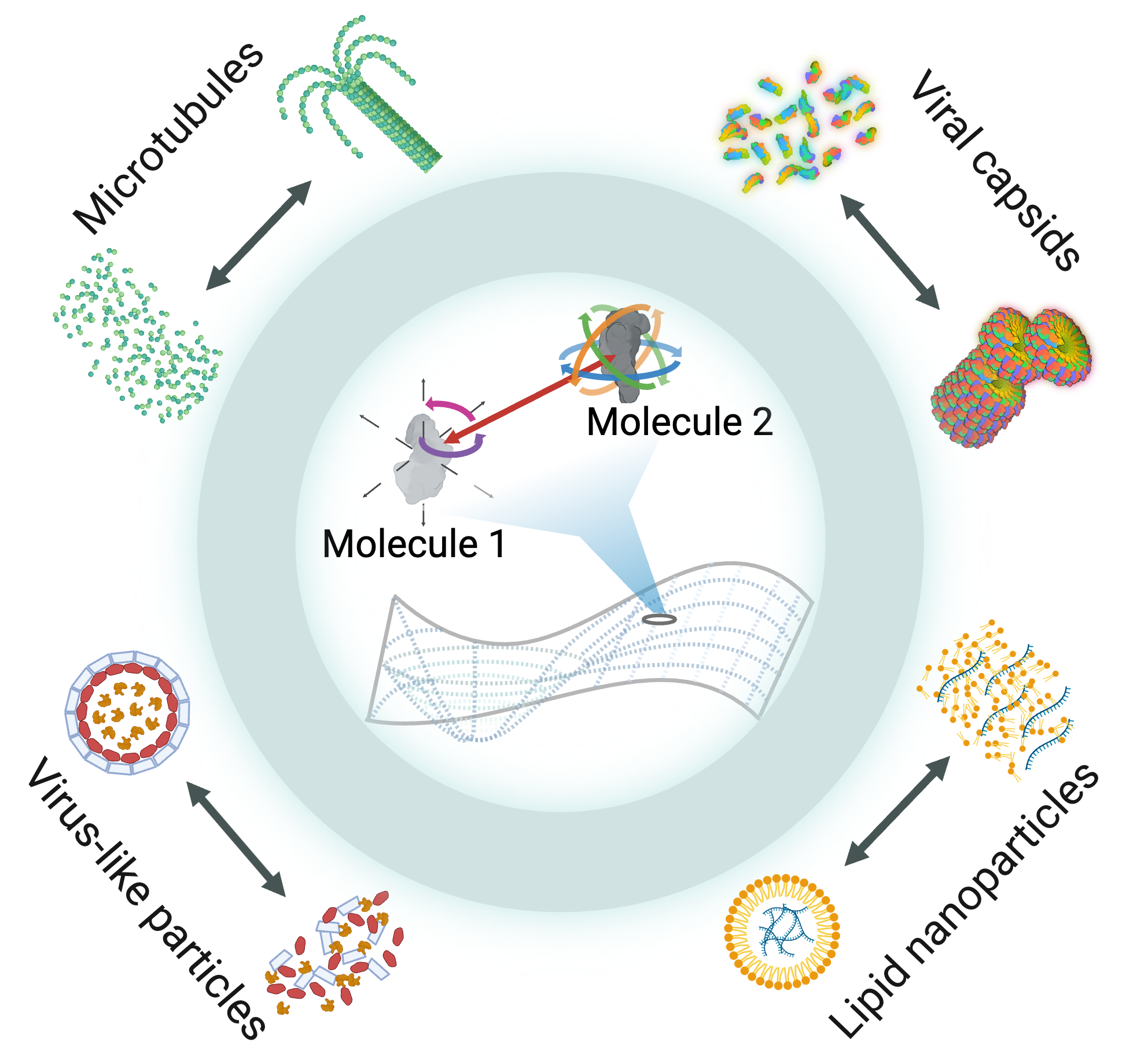 Multi-scale modeling, simulations, and design of <br />biomolecular self-assembly